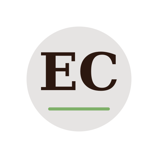 Elmin Chimney Services logo